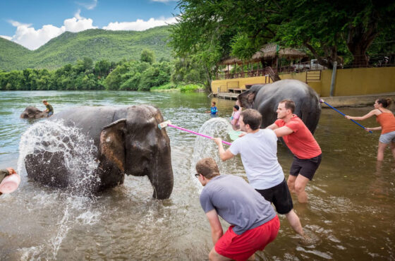 Elephants World Kanchanaburi